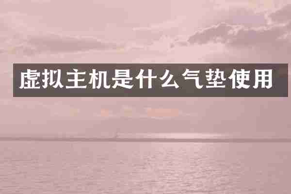 虚拟主机是什么气垫使用