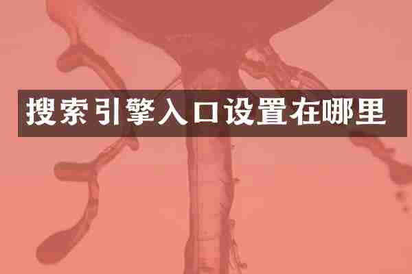 搜索引擎入口设置在哪里