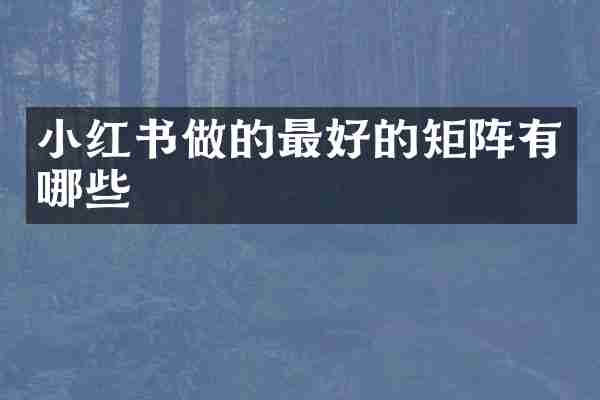 小红书做的最好的矩阵有哪些