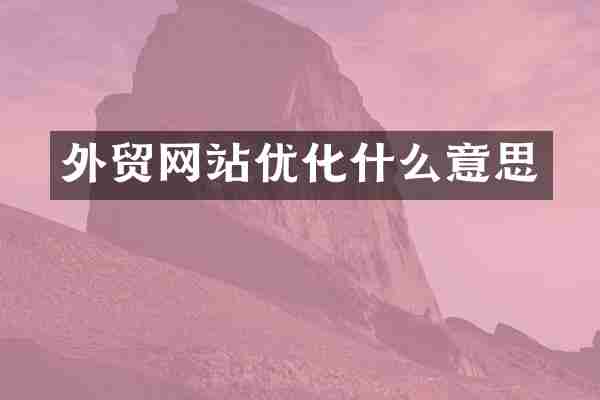 外贸网站优化什么意思