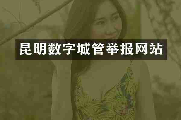 昆明数字城管举报网站