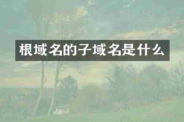 根域名的子域名是什么