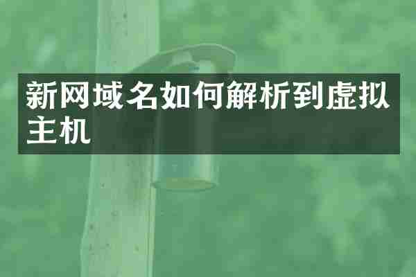 新网域名如何解析到虚拟主机