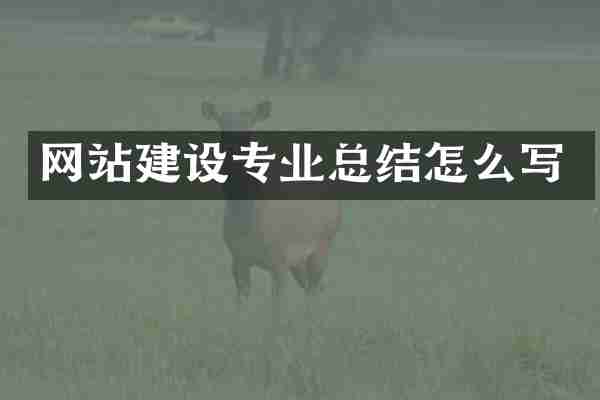 网站建设专业总结怎么写