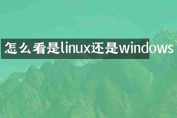 怎么看是linux还是windows