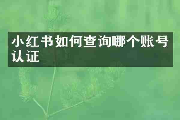 小红书如何查询哪个账号认证