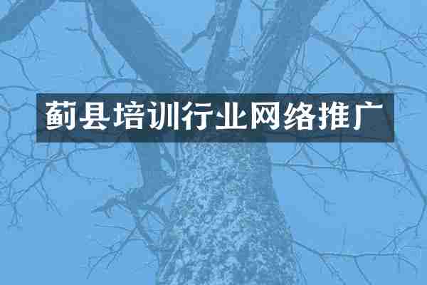 蓟县培训行业网络推广
