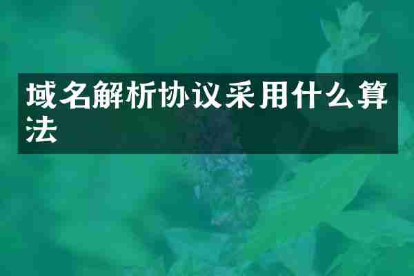 域名解析协议采用什么算法
