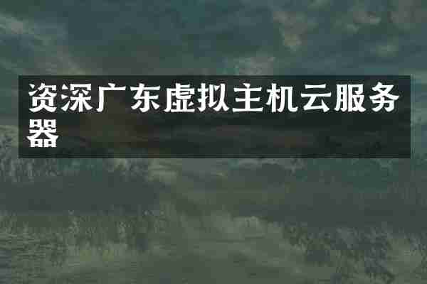 资深广东虚拟主机云服务器