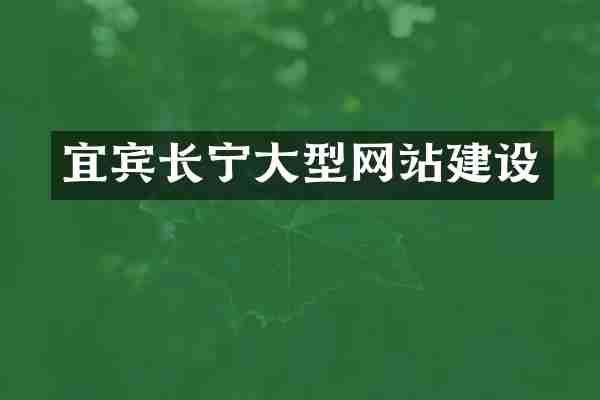 宜宾长宁大型网站建设