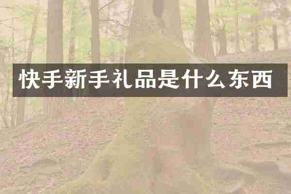 快手新手礼品是什么东西