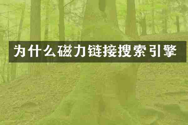 为什么磁力链接搜索引擎