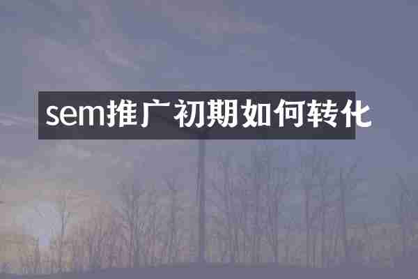 sem推广初期如何转化