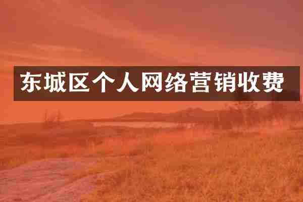 东城区个人网络营销收费