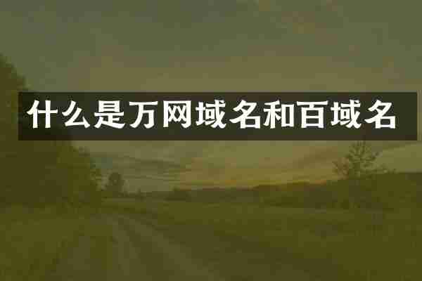 什么是万网域名和百域名