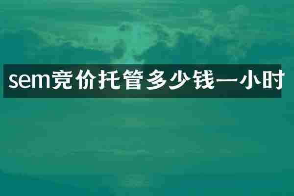 sem竞价托管多少钱一小时