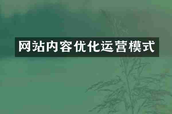 网站内容优化运营模式