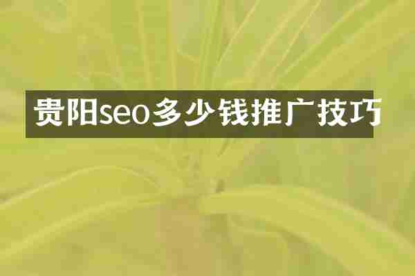 贵阳seo多少钱推广技巧