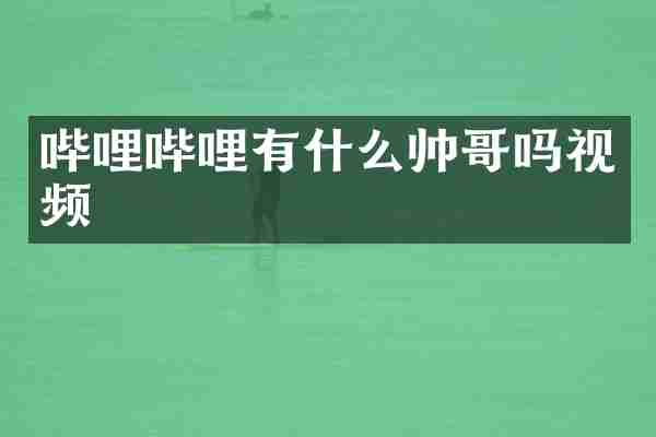 哔哩哔哩有什么帅哥吗视频