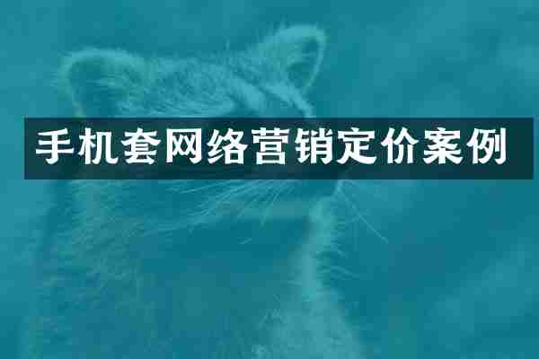手机套网络营销定价案例