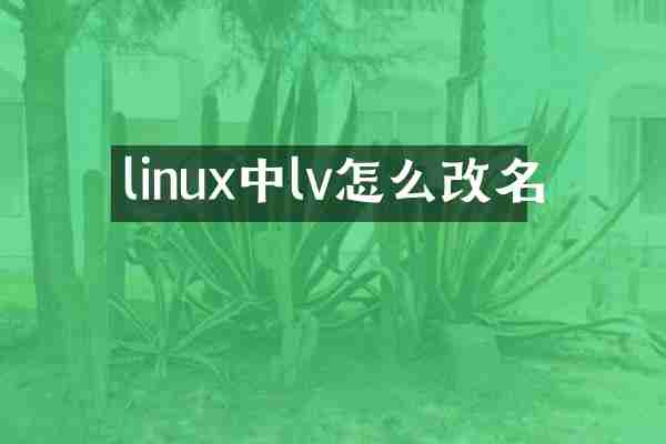 linux中lv怎么改名