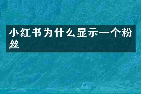 小红书为什么显示一个粉丝