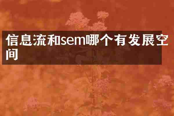 信息流和sem哪个有发展空间