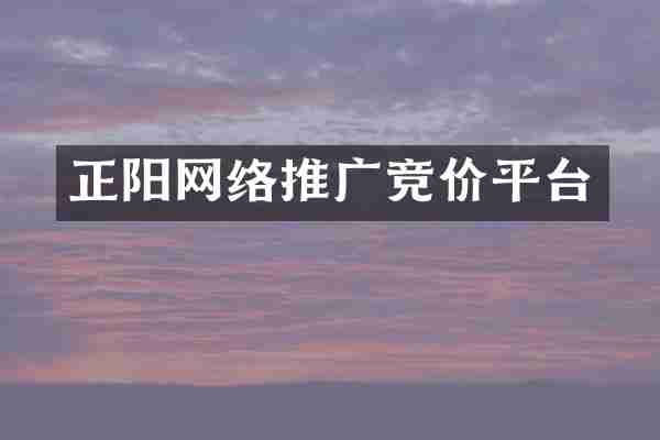 正阳网络推广竞价平台