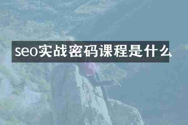 seo实战密码课程是什么