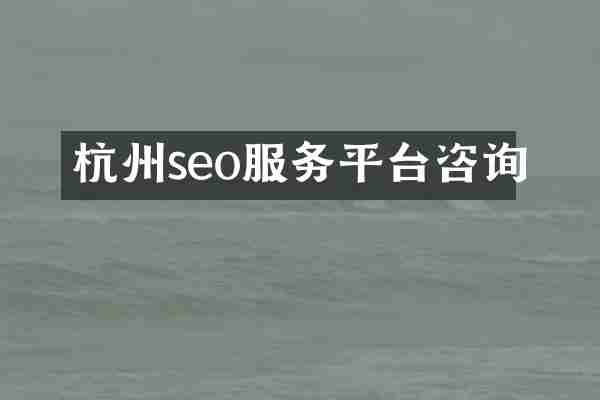 杭州seo服务平台咨询