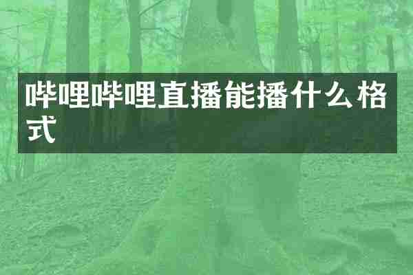 哔哩哔哩直播能播什么格式