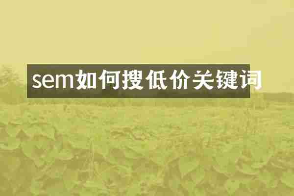 sem如何搜低价关键词