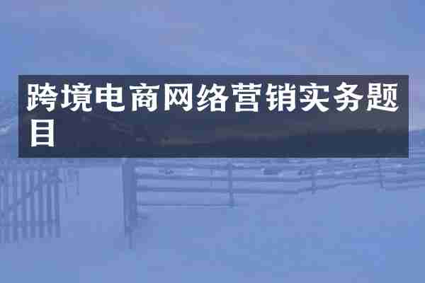 跨境电商网络营销实务题目