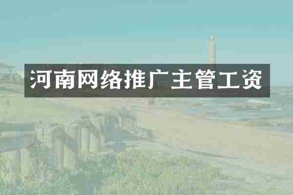 河南网络推广主管工资