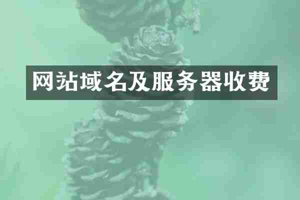 网站域名及服务器收费
