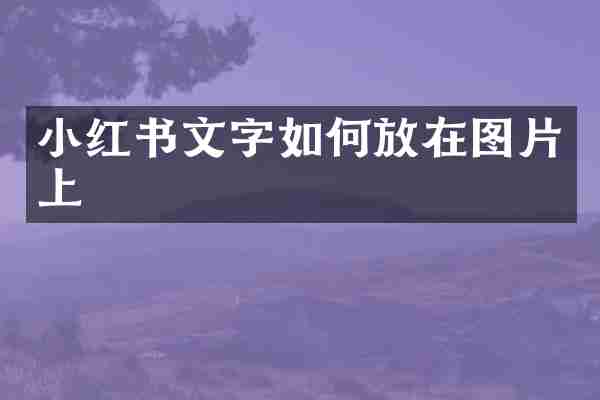 小红书文字如何放在图片上