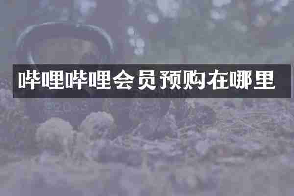 哔哩哔哩会员预购在哪里