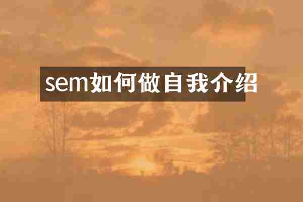 sem如何做自我介绍