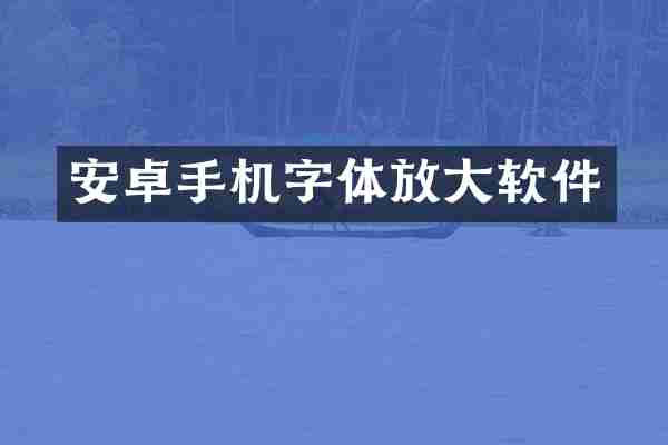 安卓手机字体放大软件