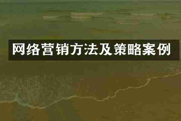 网络营销方法及策略案例