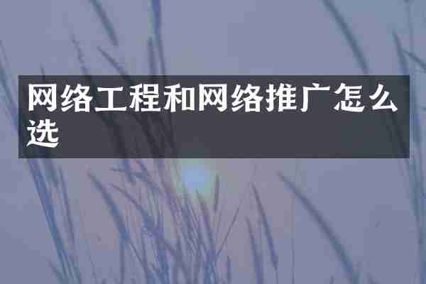 网络工程和网络推广怎么选