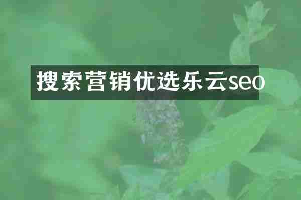 搜索营销优选乐云seo