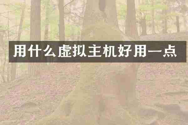 用什么虚拟主机好用一点