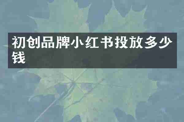 初创品牌小红书投放多少钱