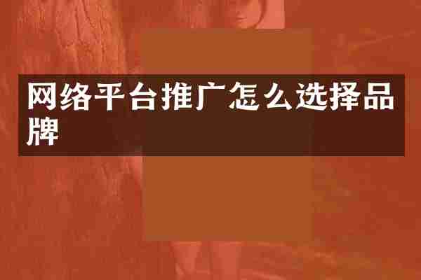 网络平台推广怎么选择品牌