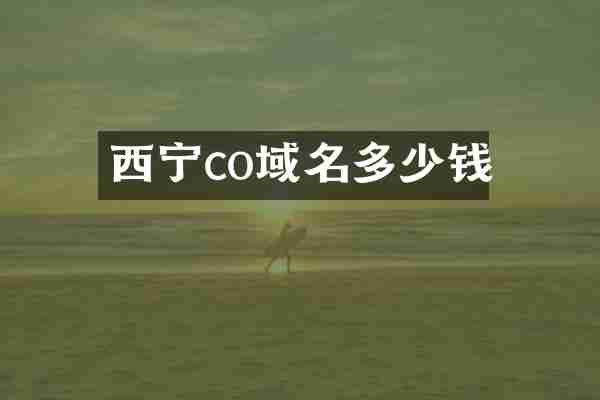 西宁co域名多少钱