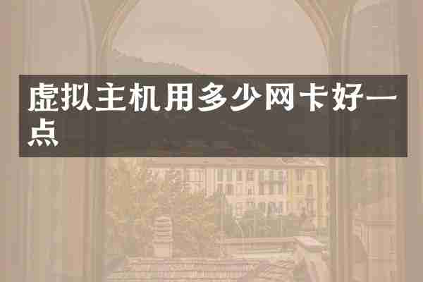虚拟主机用多少网卡好一点