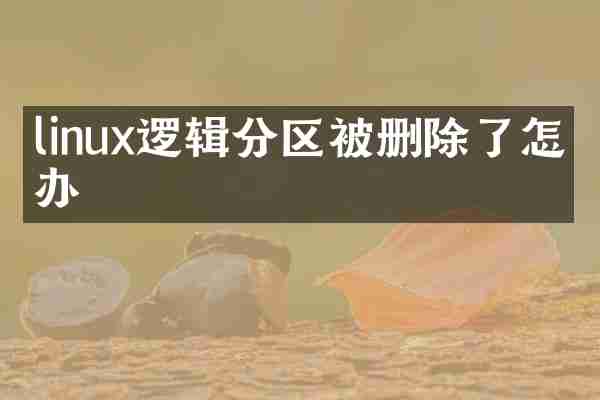 linux逻辑分区被删除了怎么办