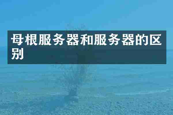 母根服务器和服务器的区别