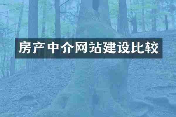 房产中介网站建设比较